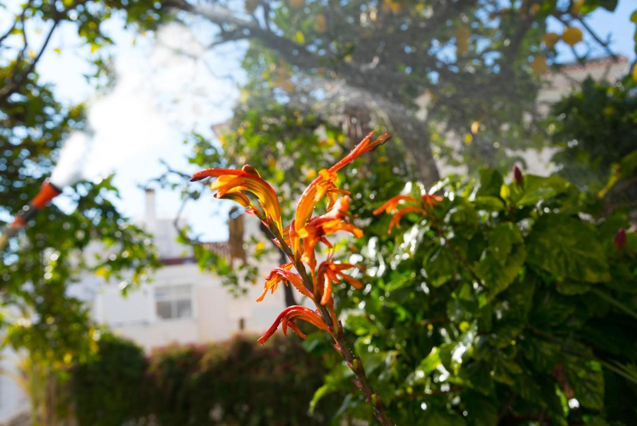 Flat With A Garden In Belem Apartment Lisbon Luaran gambar
