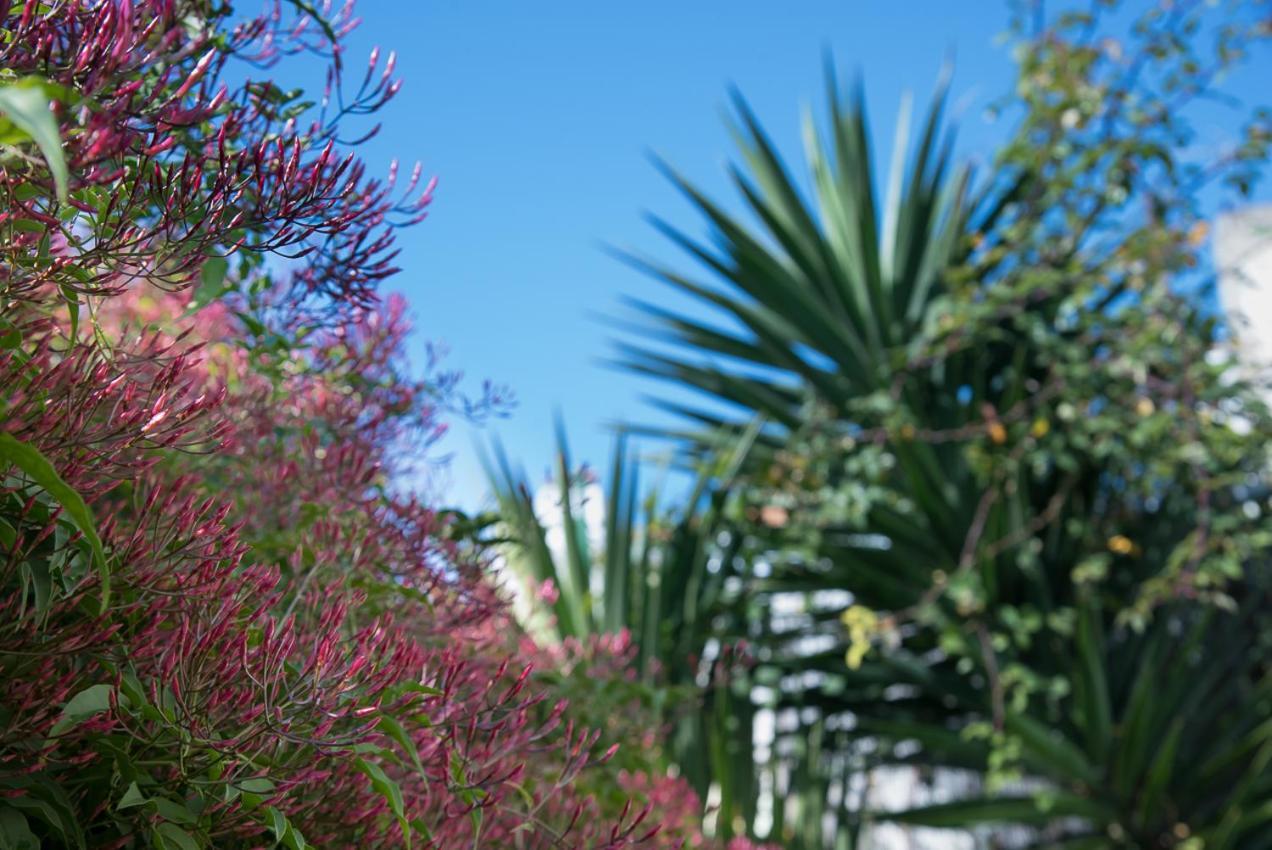 Flat With A Garden In Belem Apartment Lisbon Luaran gambar